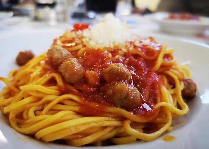 Novatek 202 Exclusive Daire Pescara