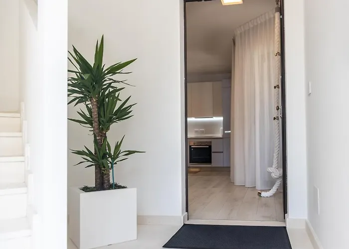 Novatek 202 Exclusive Pescara