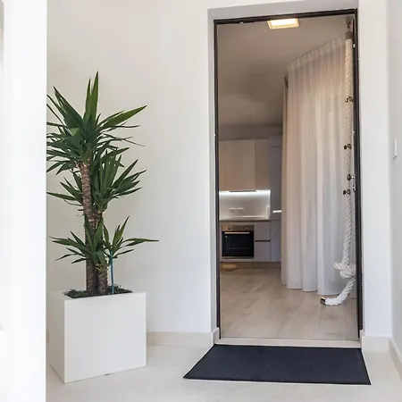 Novatek 202 Exclusive Pescara