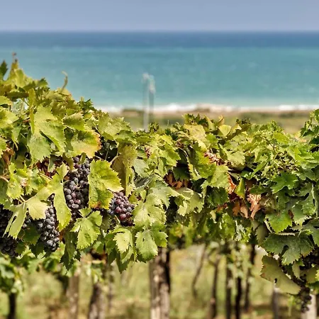 Apartman Novatek 202 Exclusive