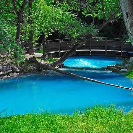 Novatek 202 Exclusive