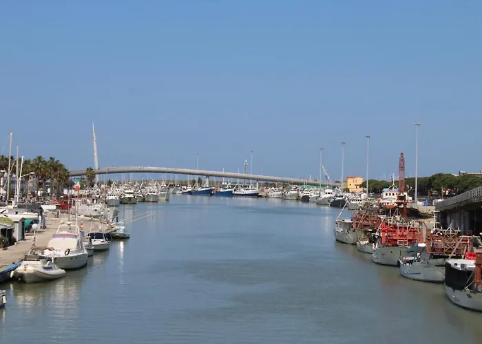 Novatek 202 Exclusive *