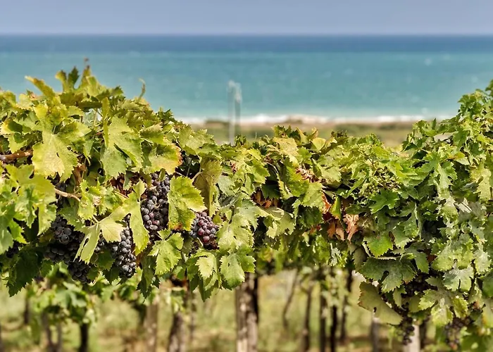 Апартаменты Novatek 202 Exclusive