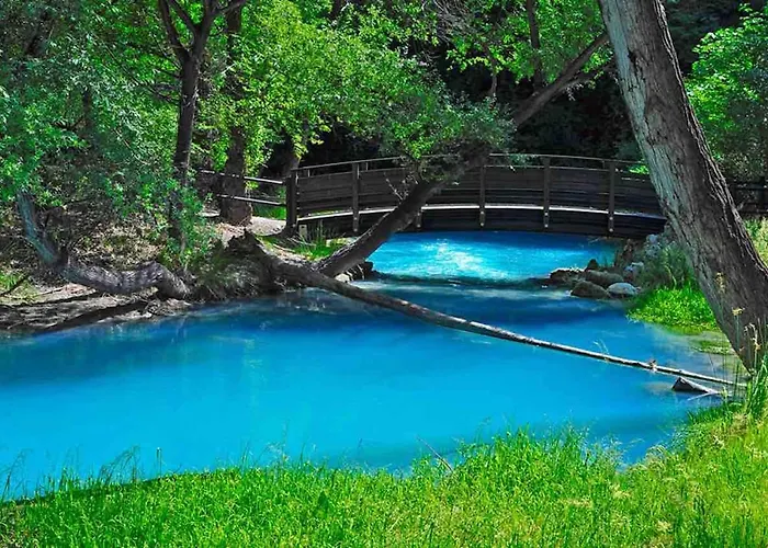 Novatek 202 Exclusive